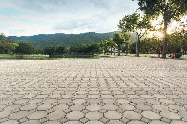 Best Professional Driveway Pavers  in Underwood Petersville, AL