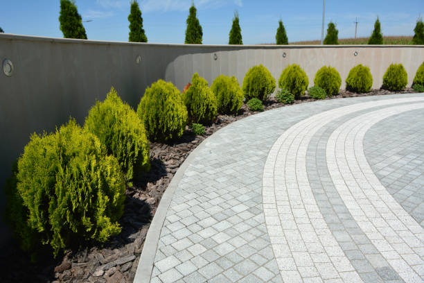 Best Brick Driveway Pavers  in Underwood Petersville, AL